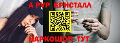 ECSTASY Канаш