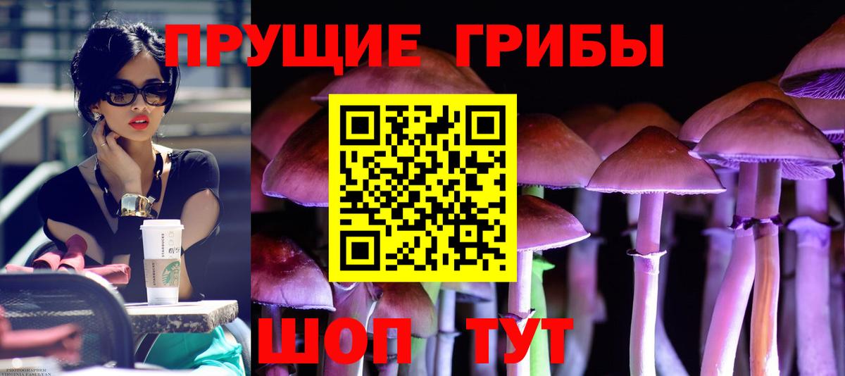 Псилоцибиновые грибы Psilocybine cubensis Лениногорск