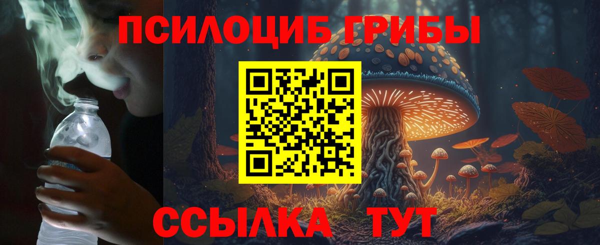 Галлюциногенные грибы мухоморы  Вход с VPN  Лениногорск 